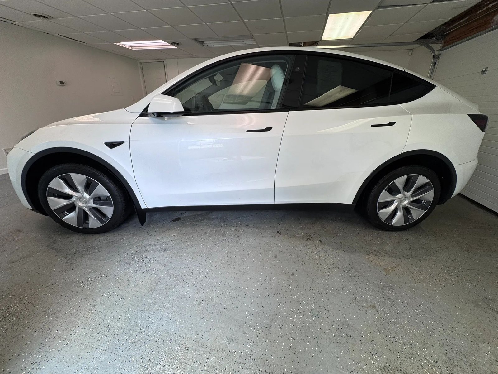 2023 Tesla Model Y photo 3