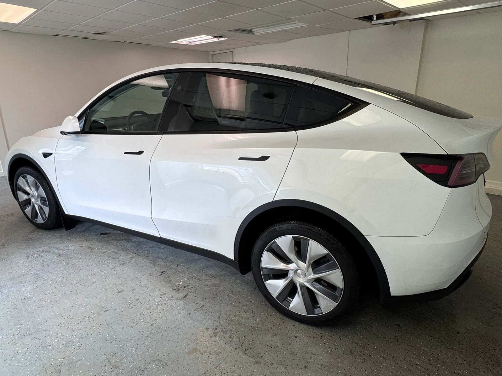 2023 Tesla Model Y photo 5