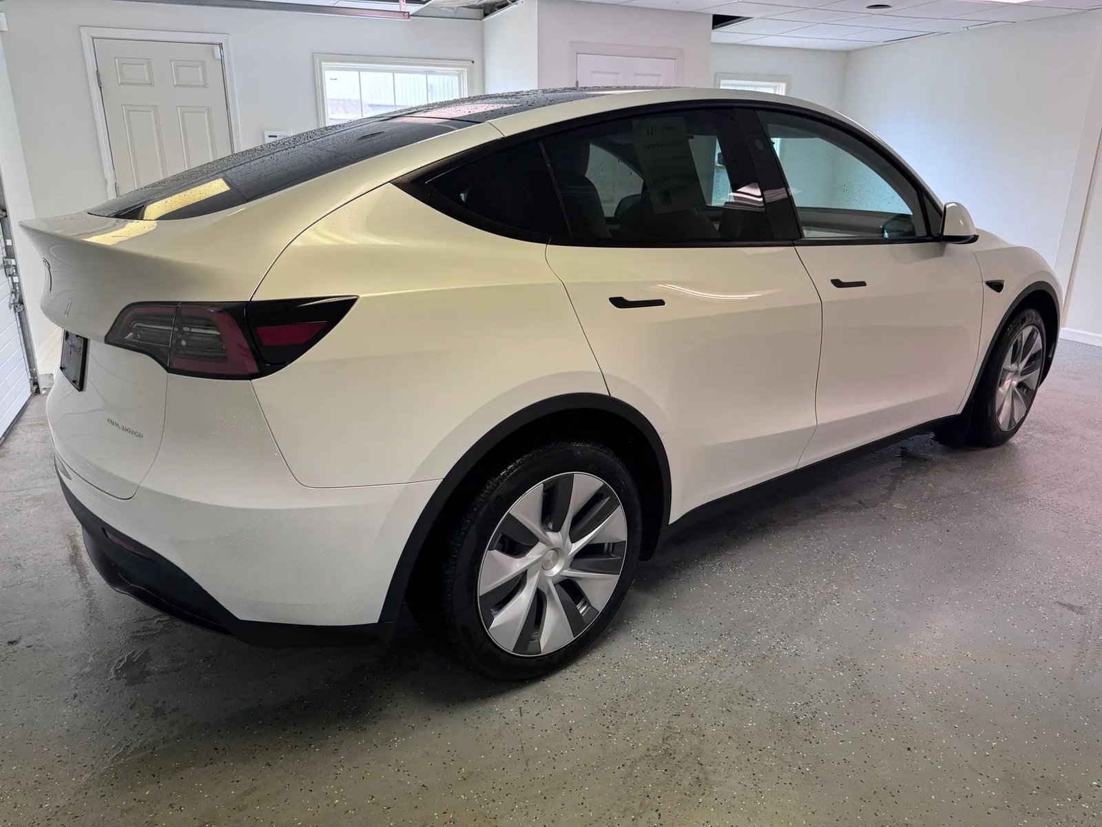 2023 Tesla Model Y photo 6